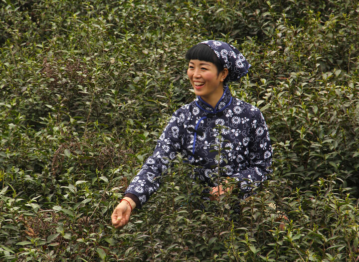 百丽直播5589入口 热门10